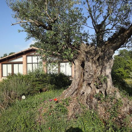 فندق Veilhesفي  Chalet Domaine De Combe Ramond المظهر الخارجي الصورة